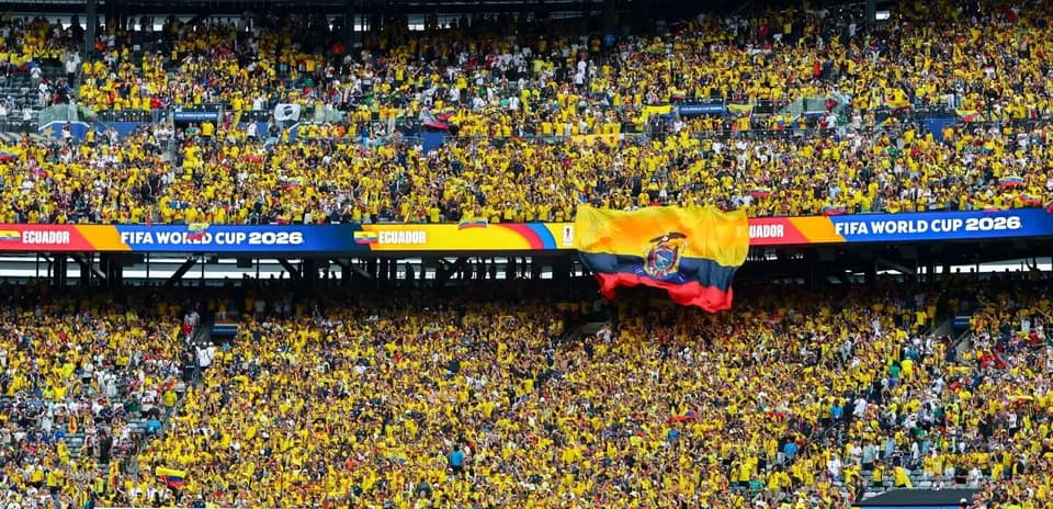 Ecuador fans cheering in yellow during FIFA World Cup