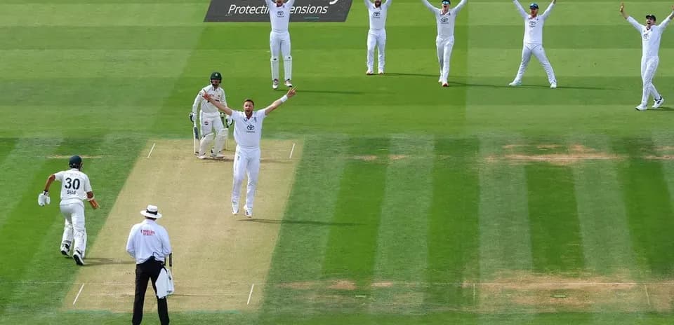 Bowler appealing as fielders celebrate wicket during match