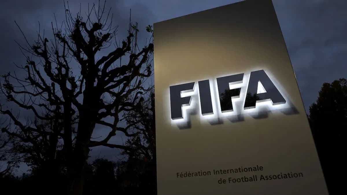 FIFA sign illuminated at night near tree