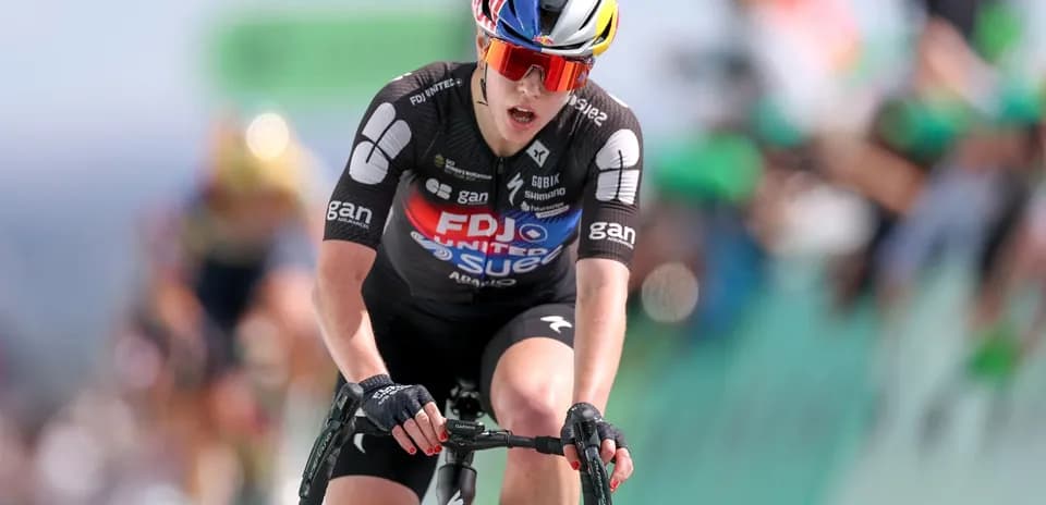 Velosipedchi FDJ jamoasi yo'lni bosib o'tmoqda
