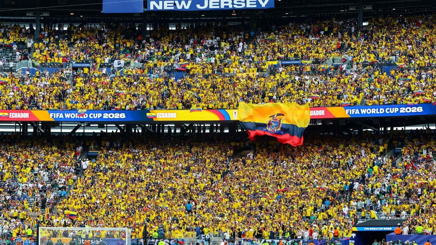 Ecuador fans cheering in yellow during FIFA World Cup Ecuador fans cheering in yellow during FIFA World Cup