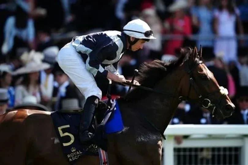 Jockey riding horse during Royal Ascot event Jockey riding horse during Royal Ascot event