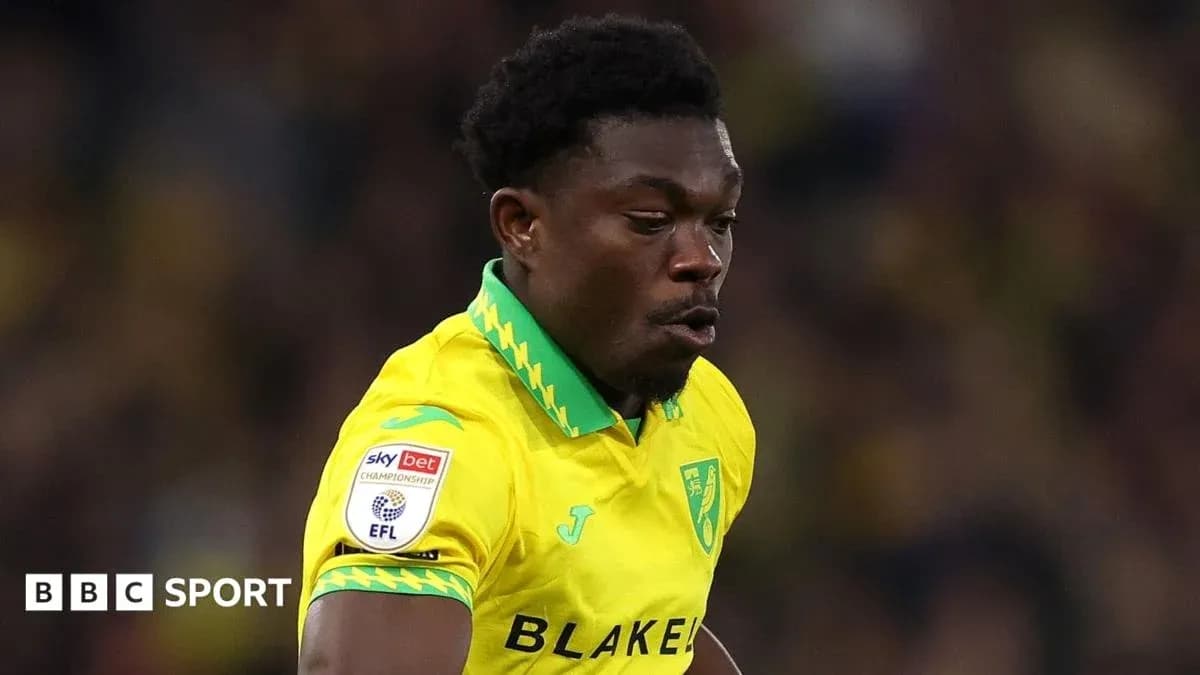Futbolchi maydonda harakatda, Norwich formasida Futbolchi maydonda harakatda, Norwich formasida