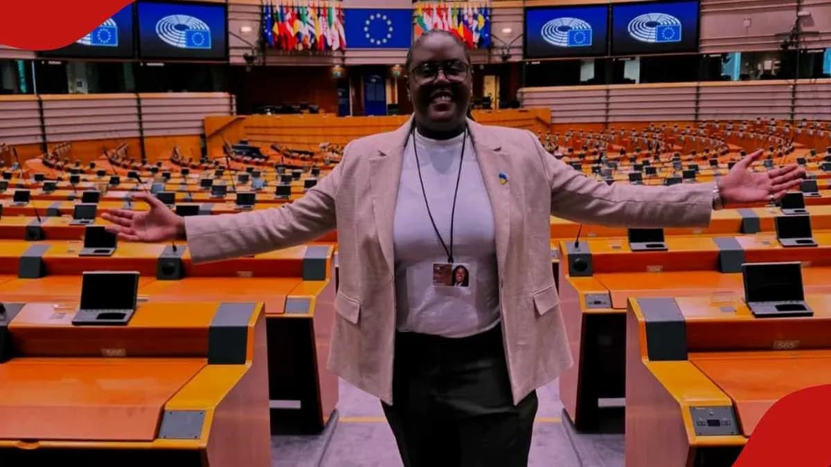 Person posing in empty parliamentary chamber Person posing in empty parliamentary chamber