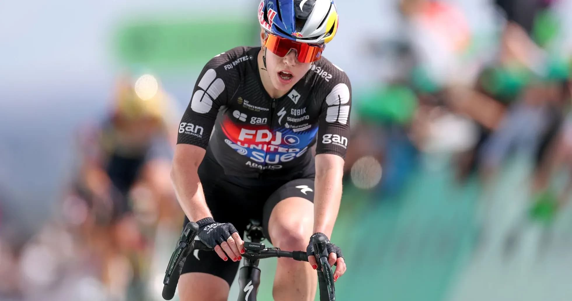 Velosipedchi FDJ jamoasi yo'lni bosib o'tmoqda Velosipedchi FDJ jamoasi yo'lni bosib o'tmoqda