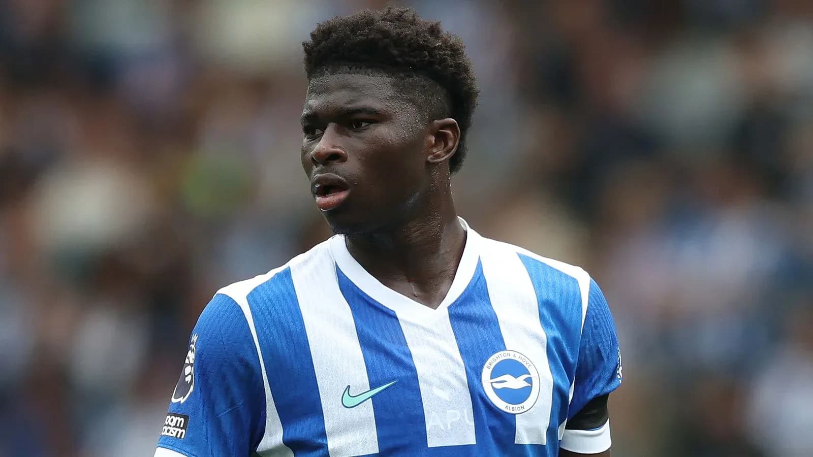 Futbolchi Brighton & Hove Albion formasida Futbolchi Brighton & Hove Albion formasida